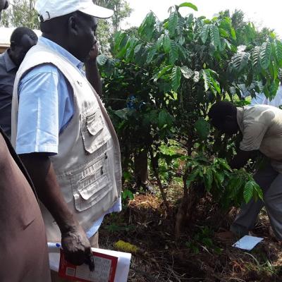 Farmer Training